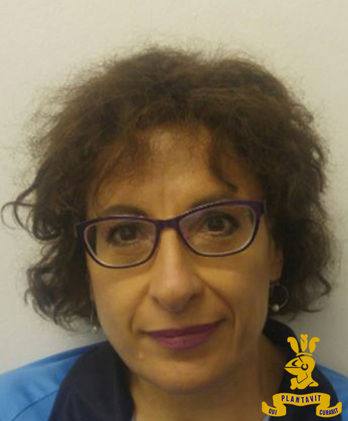 Ms Padowitz